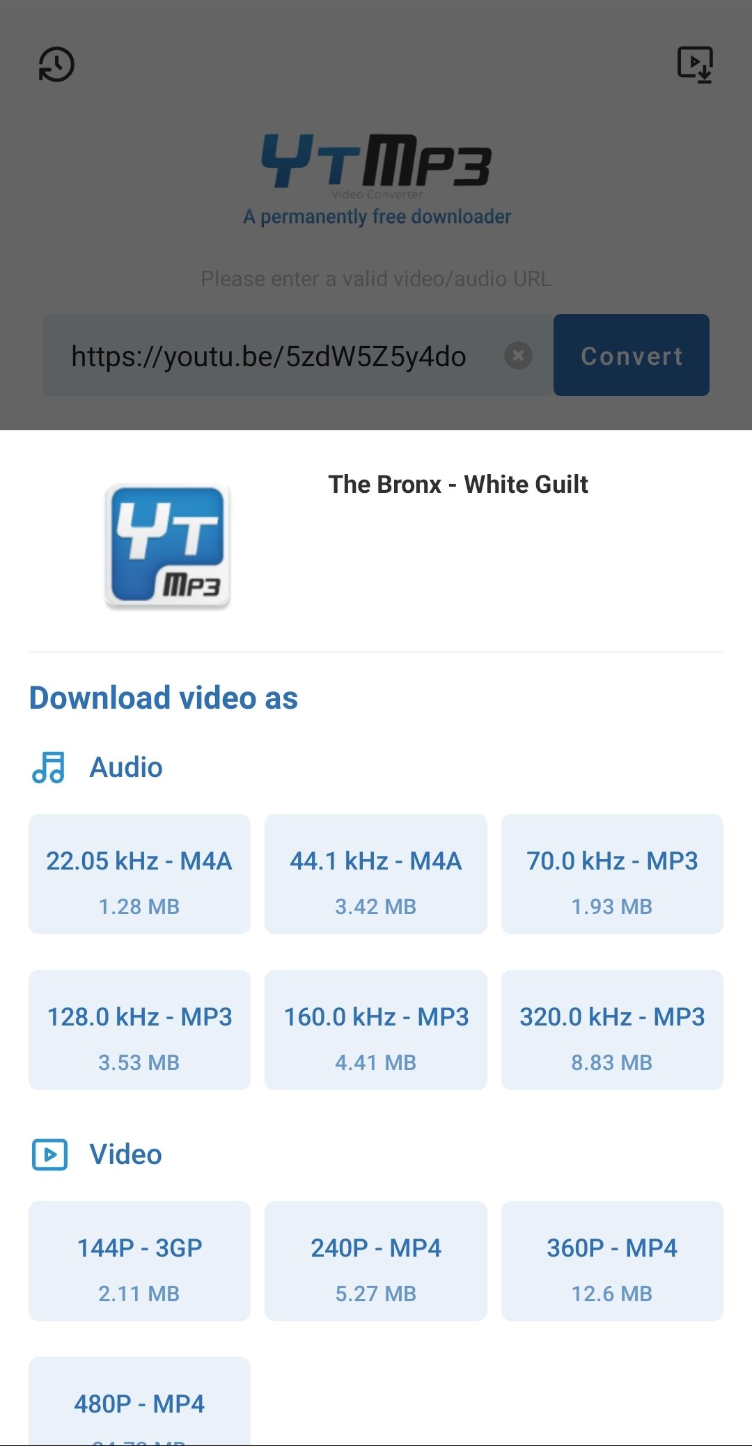 audio and video format options